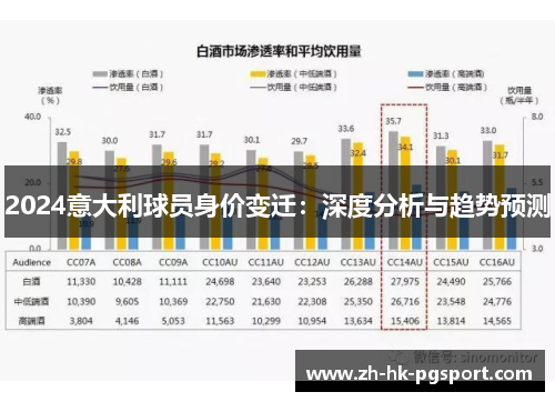 2024意大利球员身价变迁:深度分析与趋势预测 2024意大利球员身价变迁:深度分析与趋势预测